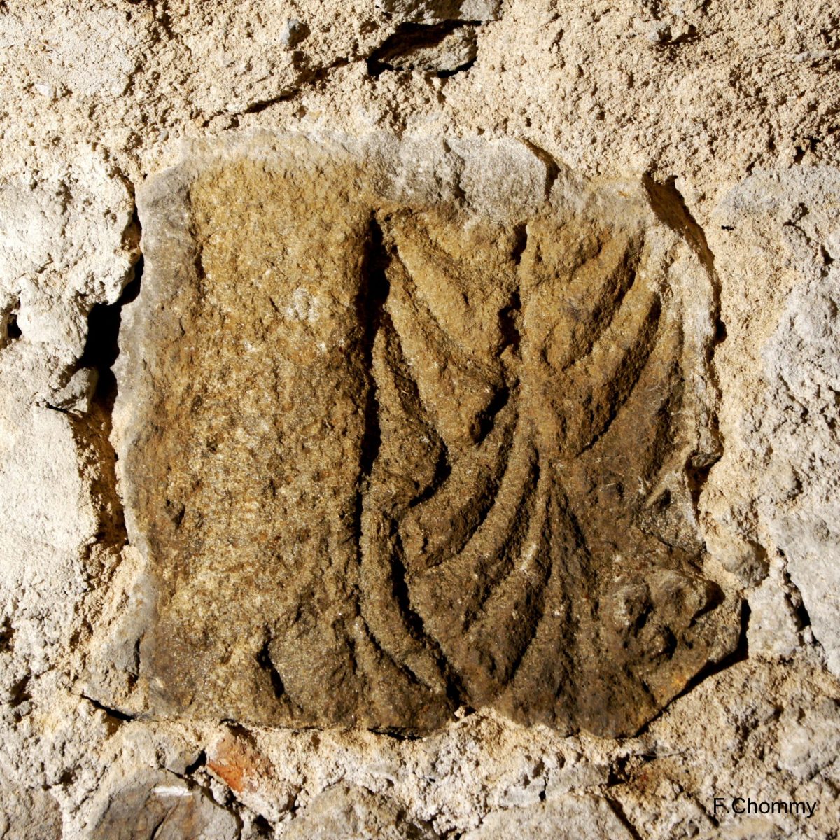 Pierre sculptée (photo F. Chommy - Grahlf)