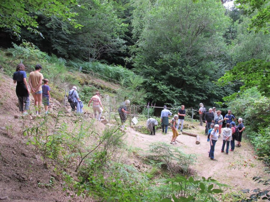 Mine de Pégut (photo F. Chommy-Grahlf)