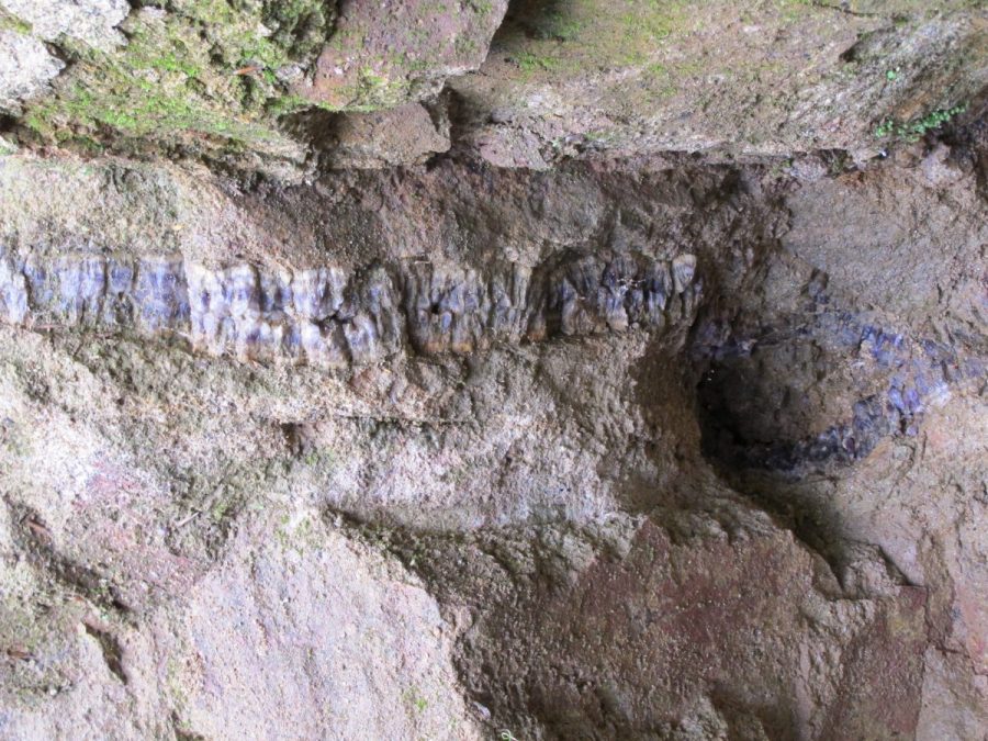 Mine de Pégut (photo F. Chommy)