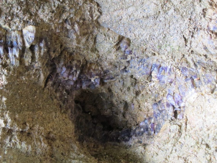 Mine de Pégut (photo F. Chommy)