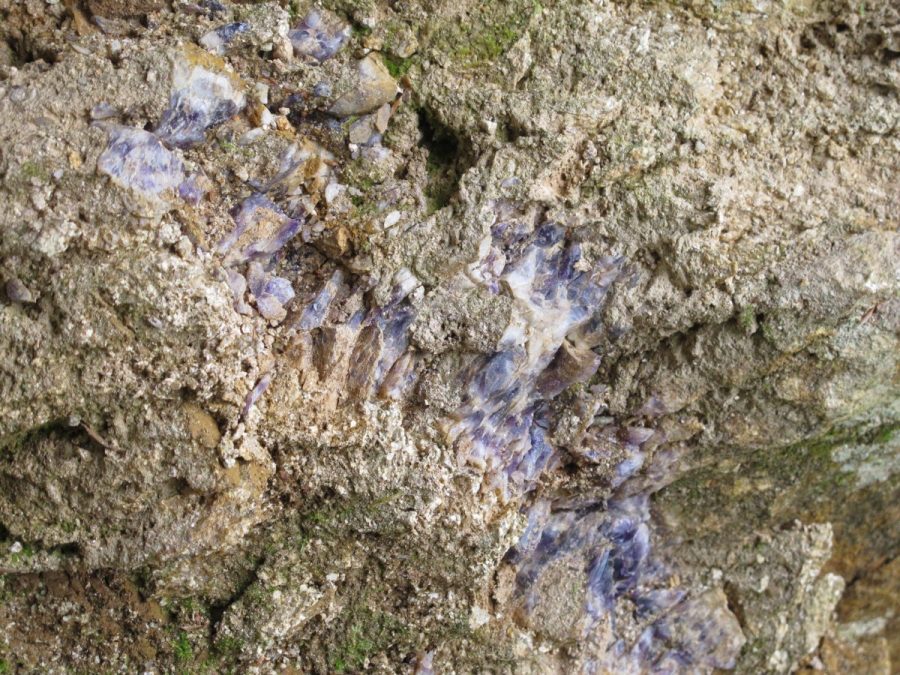 Mine de Pégut (photo F. Chommy)