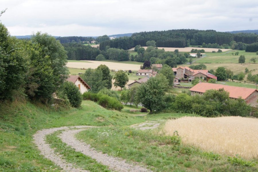 Clavelier (photo F. Chommy - Grahlf)