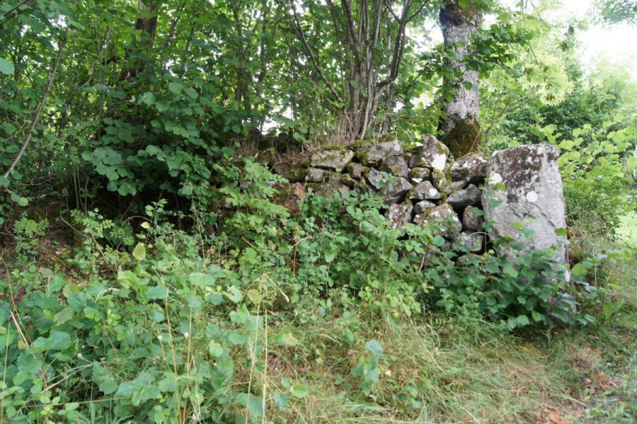 Clavelier (photo F. Chommy - Grahlf)