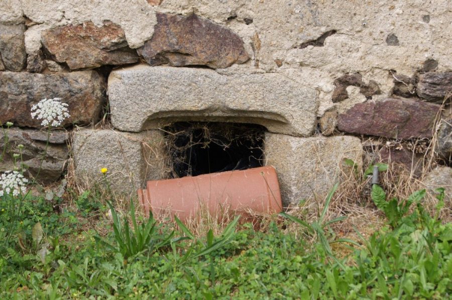 Clavelier - réemploi (photo C. Chommy - Grahlf)