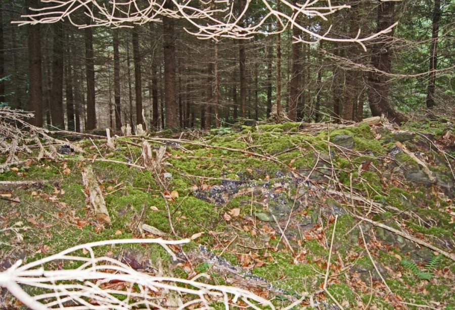 Boutigou (photo F. Chommy - Grahlf)