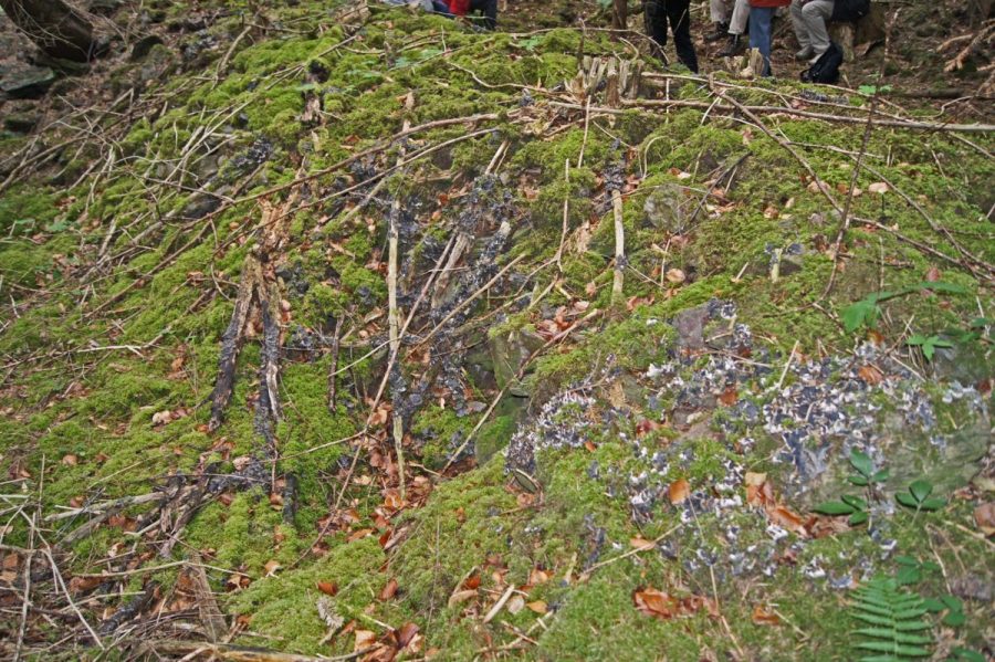 Boutigou (photo F. Chommy - Grahlf)