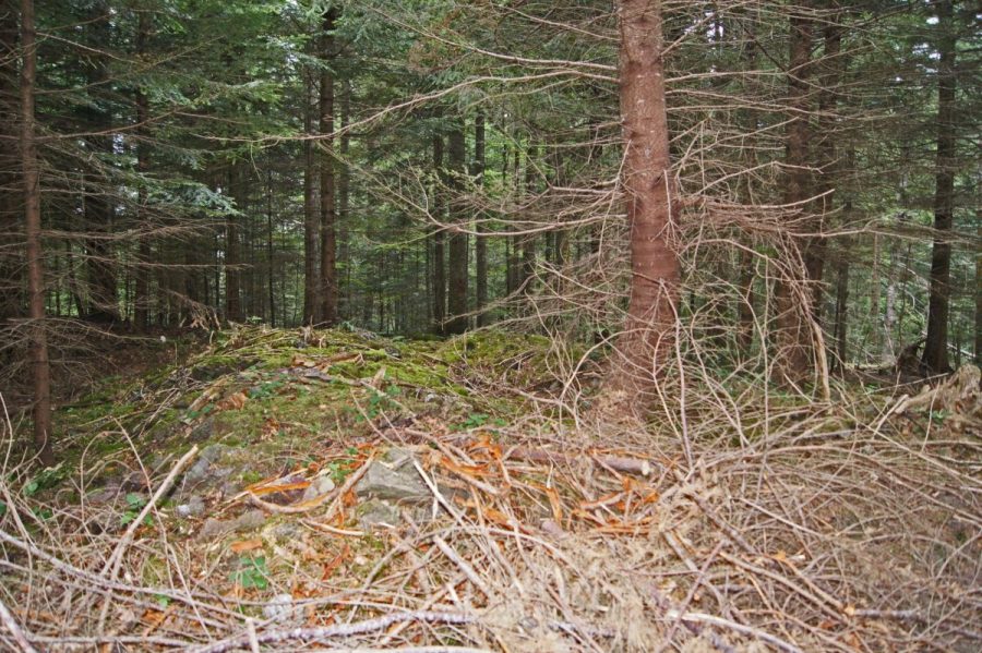 Boutigou (photo F. Chommy - Grahlf)