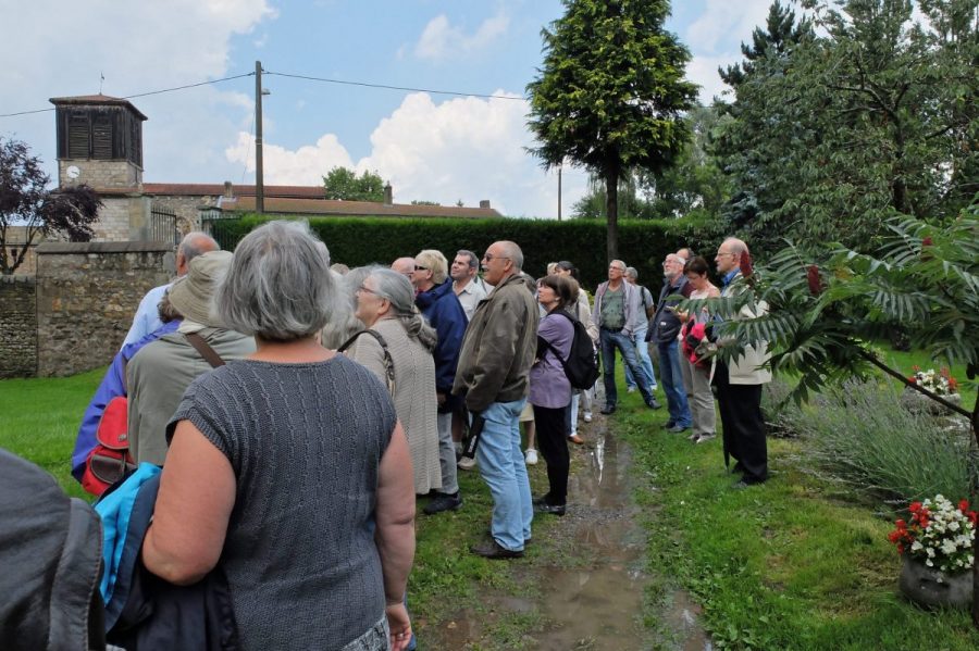 Château de Domaize (photo F. Burg - Grahlf)