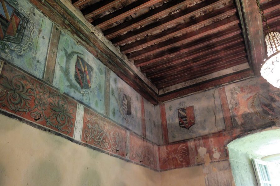 Château de Domaize (photo F. Burg - Grahlf)