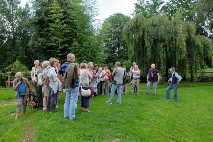 Château de Domaize (photo F. Burg - Grahlf)