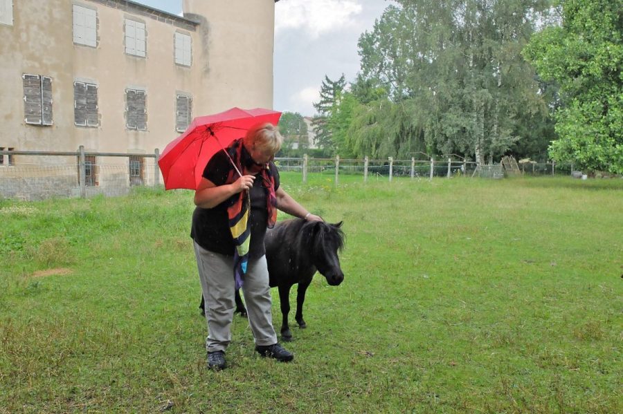 Château de Domaize (photo F. Burg - Grahlf)