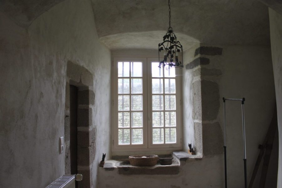 Château de Domaize (photo P. Terras - Grahlf)