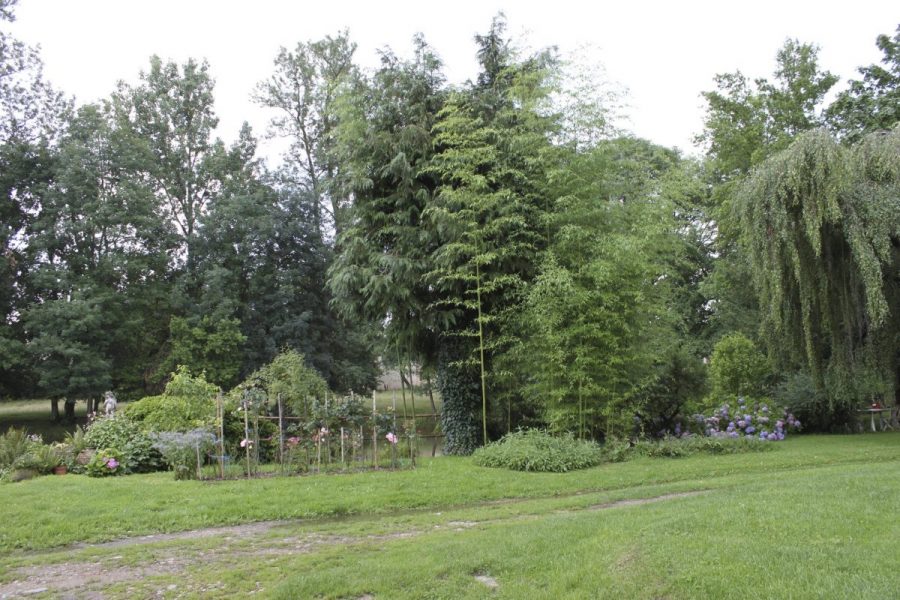 Château de Domaize (photo P. Terras - Grahlf)