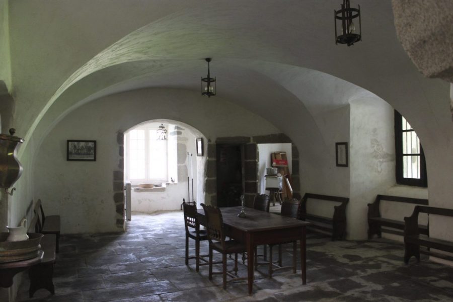 Château de Domaize (photo P. Terras - Grahlf)