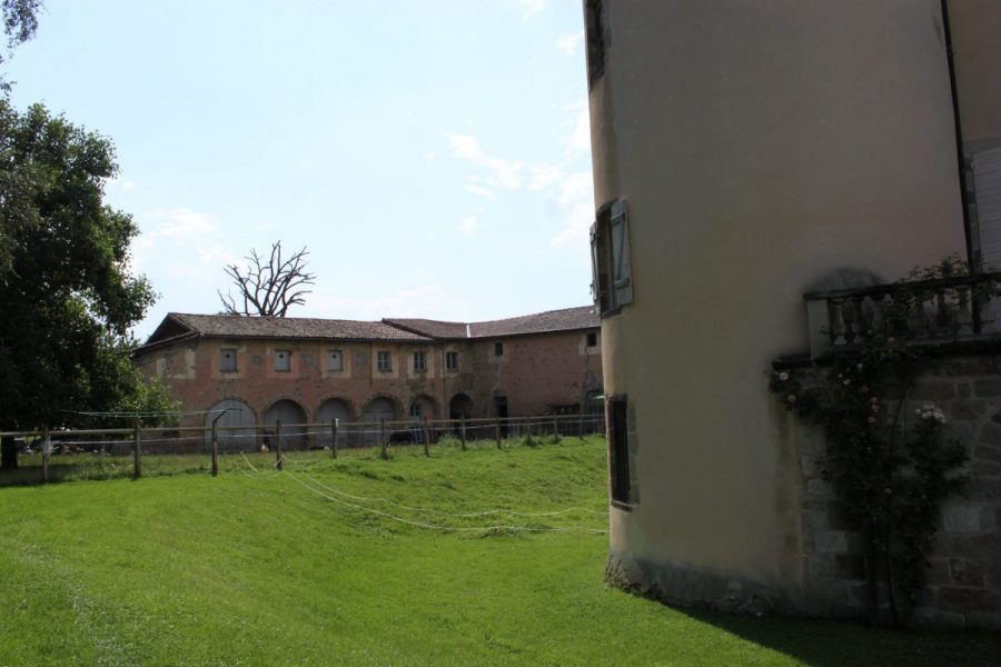Château de Domaize (photo P. Terras - Grahlf)