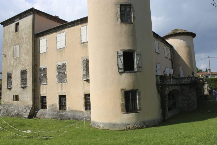 Château de Domaize (photo P. Terras - Grahlf)