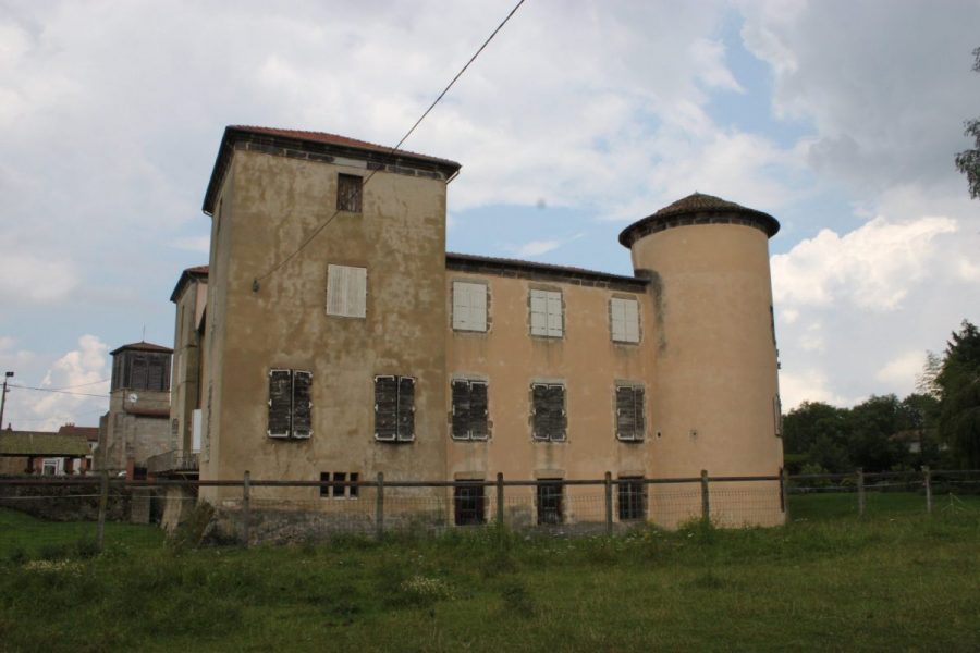 Château de Domaize (photo P. Terras - Grahlf)