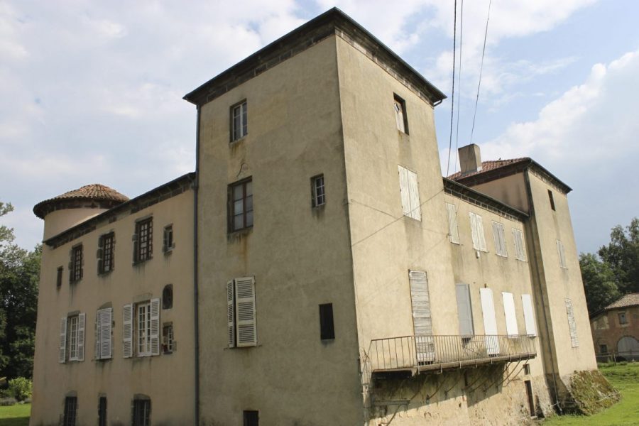 Château de Domaize (photo P. Terras - Grahlf)