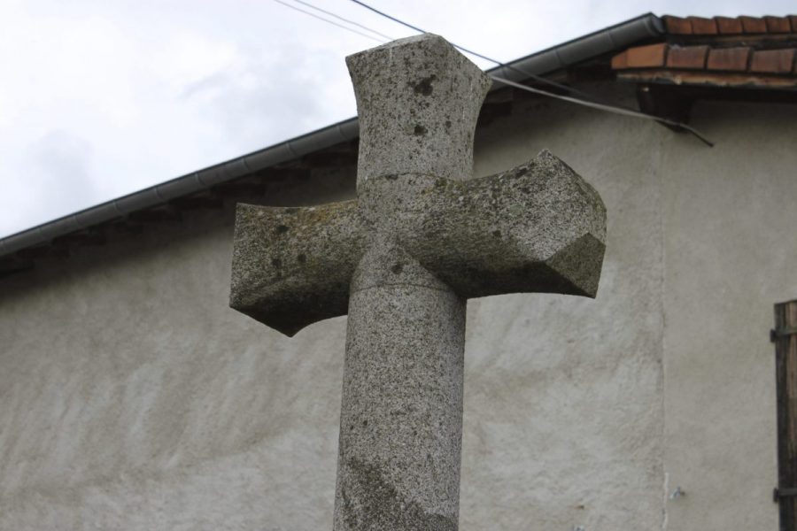 Coisse (photo P. Terras - Grahlf)