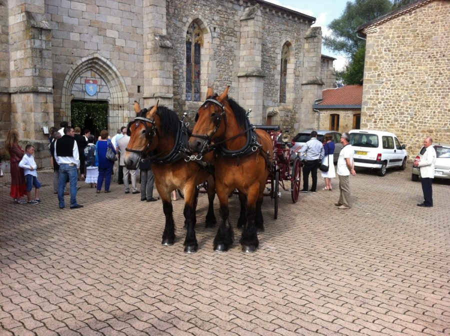 Eglise de Domaize (photo P. Terras - Grahlf)