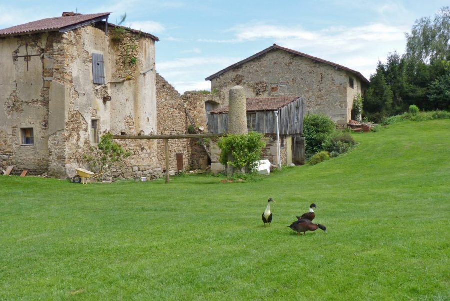 Château de Coisse (photo F. Burg - Grahlf)