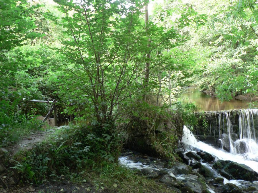 Sauxillanges. Eau-Mère. Cascade du Breuil (photo F. Burg-Grahlf)
