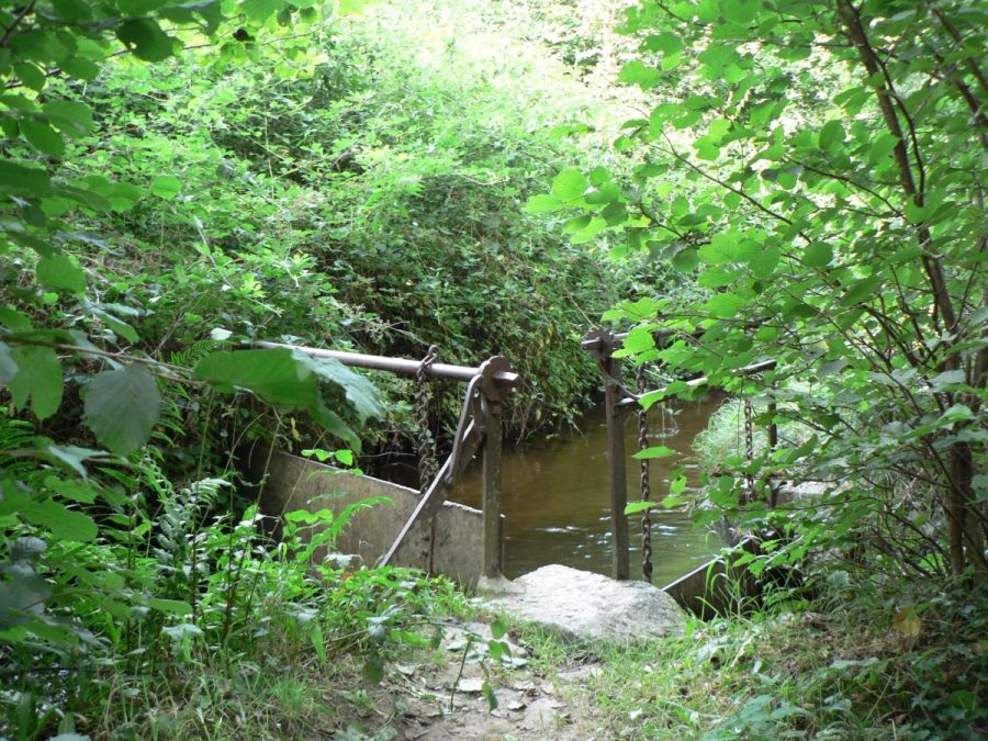 Sauxillanges. Bief de l'Eau Mère (photo F. Burg-Grahlf)
