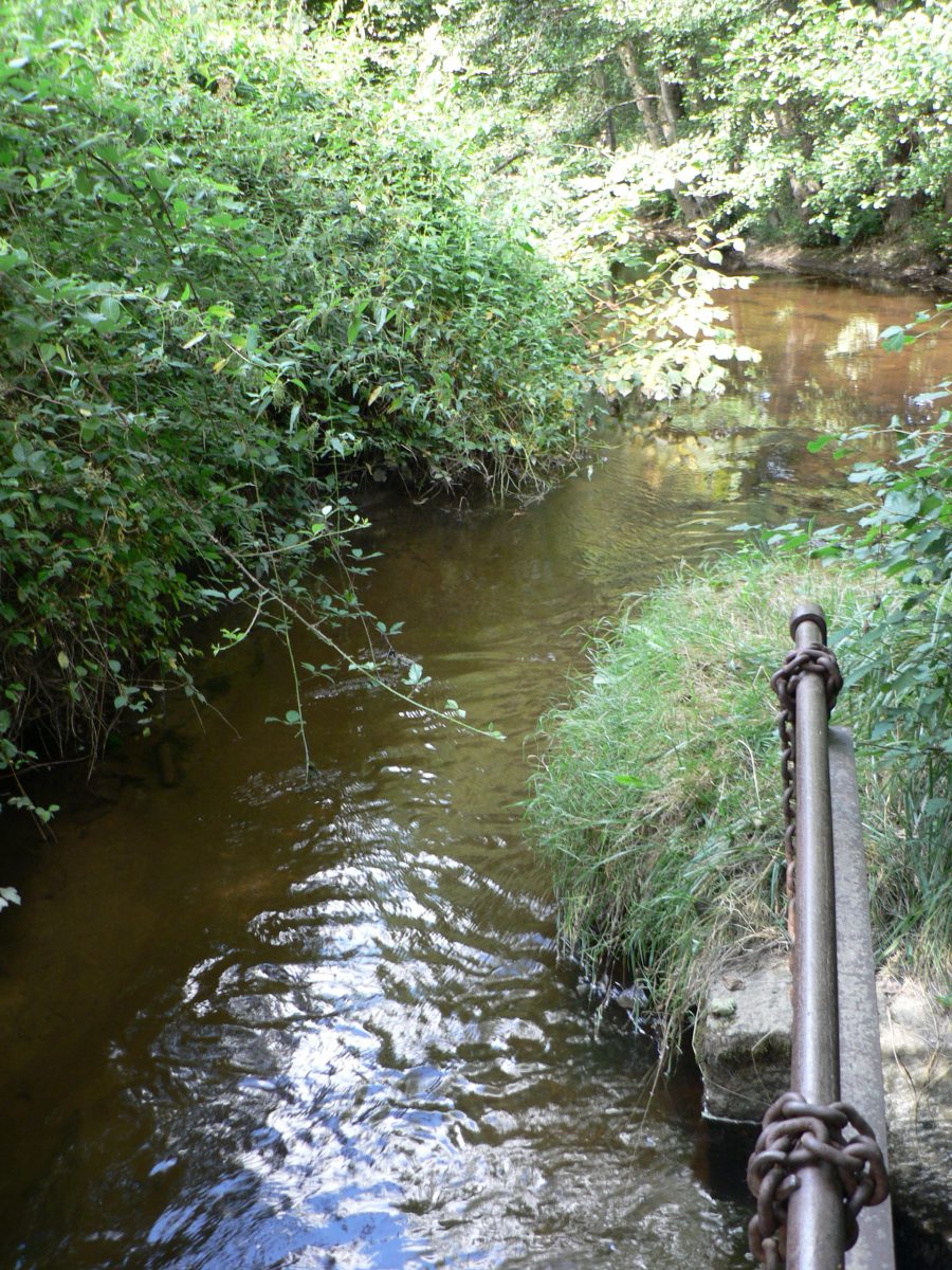 Sauxillanges. L'Eau Mère (photo F. Burg-Grahlf)