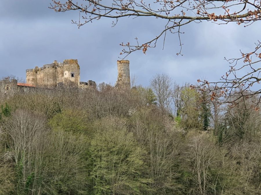 Château de Montmorin. Vue d'ensemble (photo P. Terras/Grahlf)