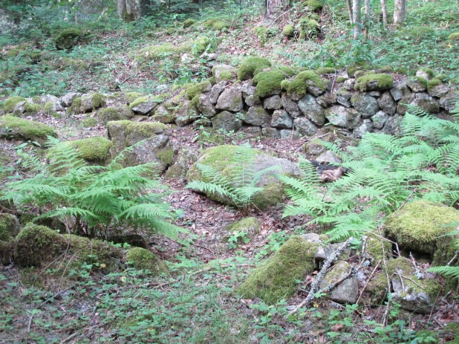 La Marus. (photo Grahlf/ F. Chommy)