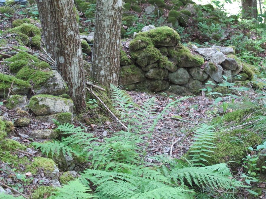 La Marus. (photo Grahlf/ F. Chommy)