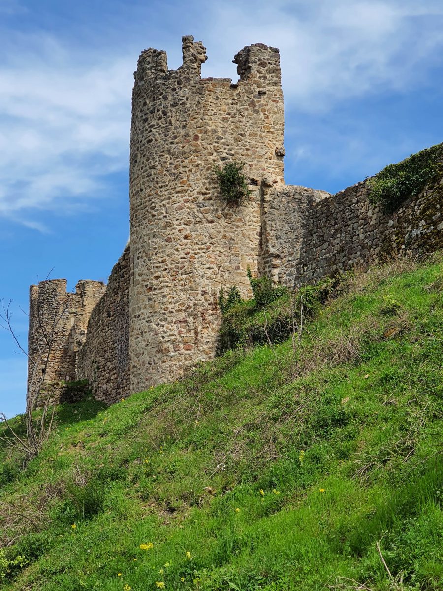 Château de Couzan : tours et enceinte de la citadelle (photo Grahlf/P. Terras)