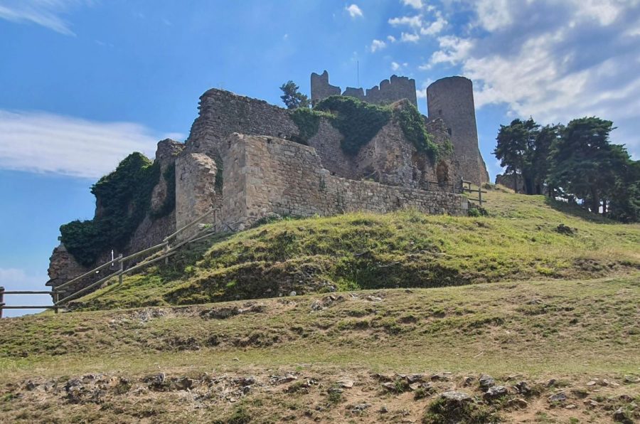 Couzan : vue d'ensemble du château (photo Grahlf/ P. Terras)