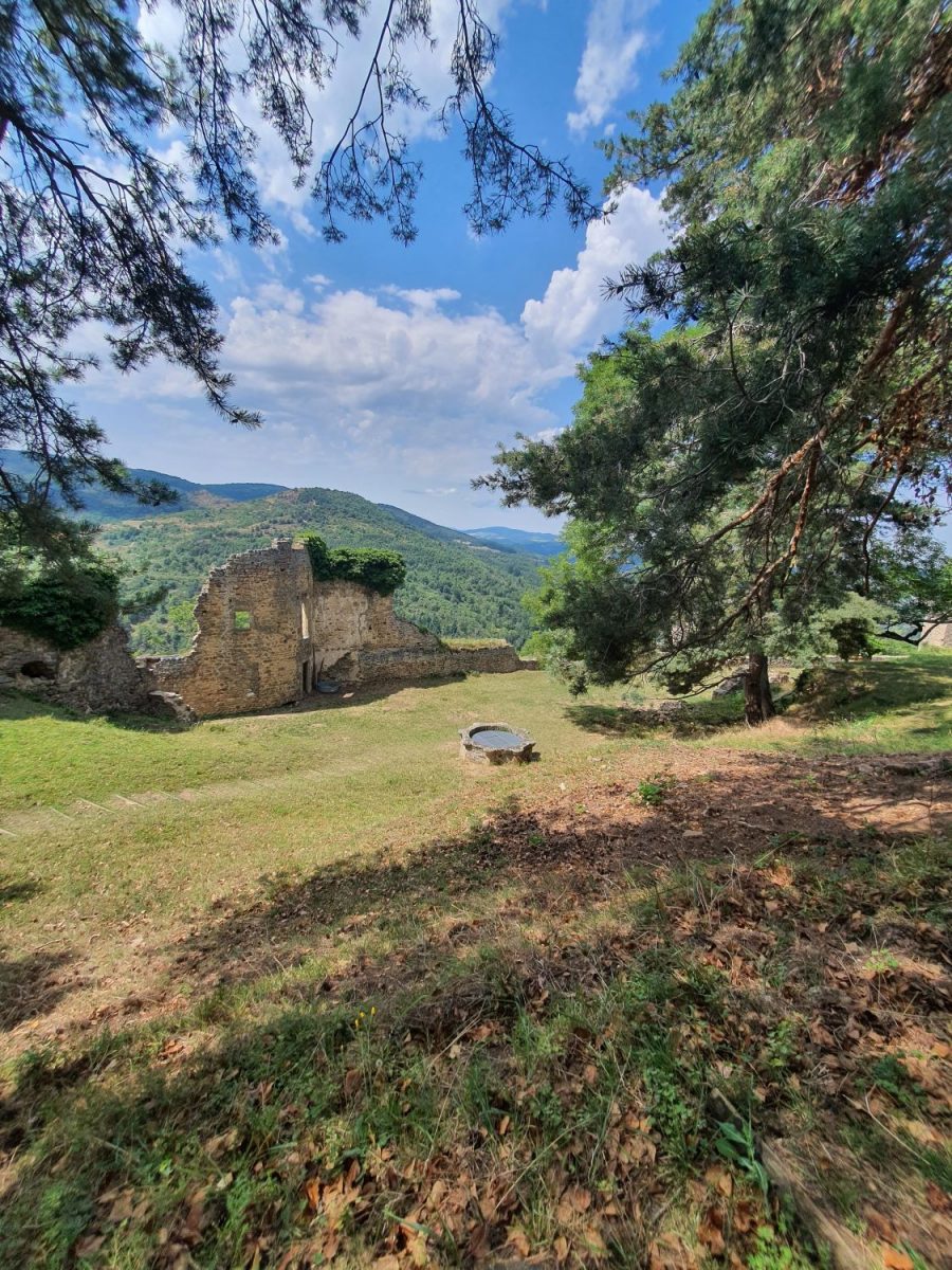Château de Couzan : la basse-cour et la citerne (photo Grahlf/P. Terras)