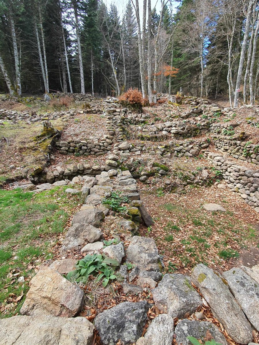 La Regardière (photo Grahlf/P. Terras).