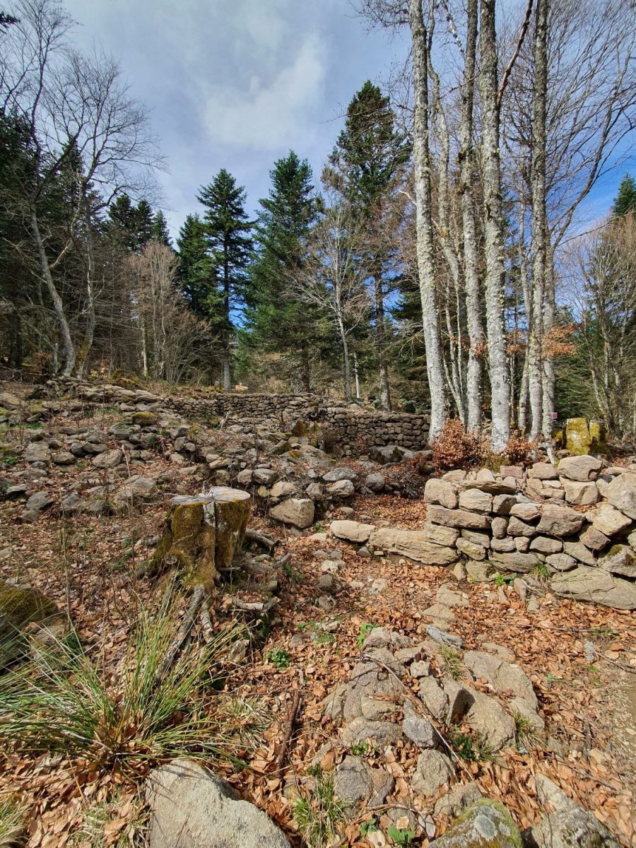 La Regardière (photo Grahlf/P. Terras)