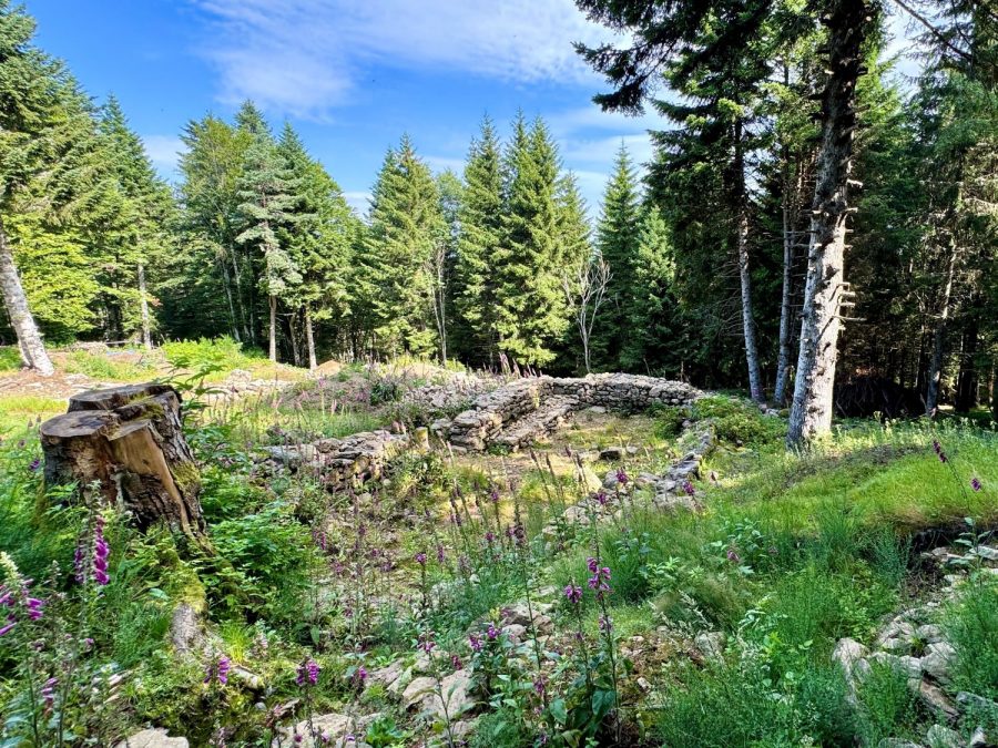 La Regardière : vue d'ensemble (photo Grahlf/F. Burg)
