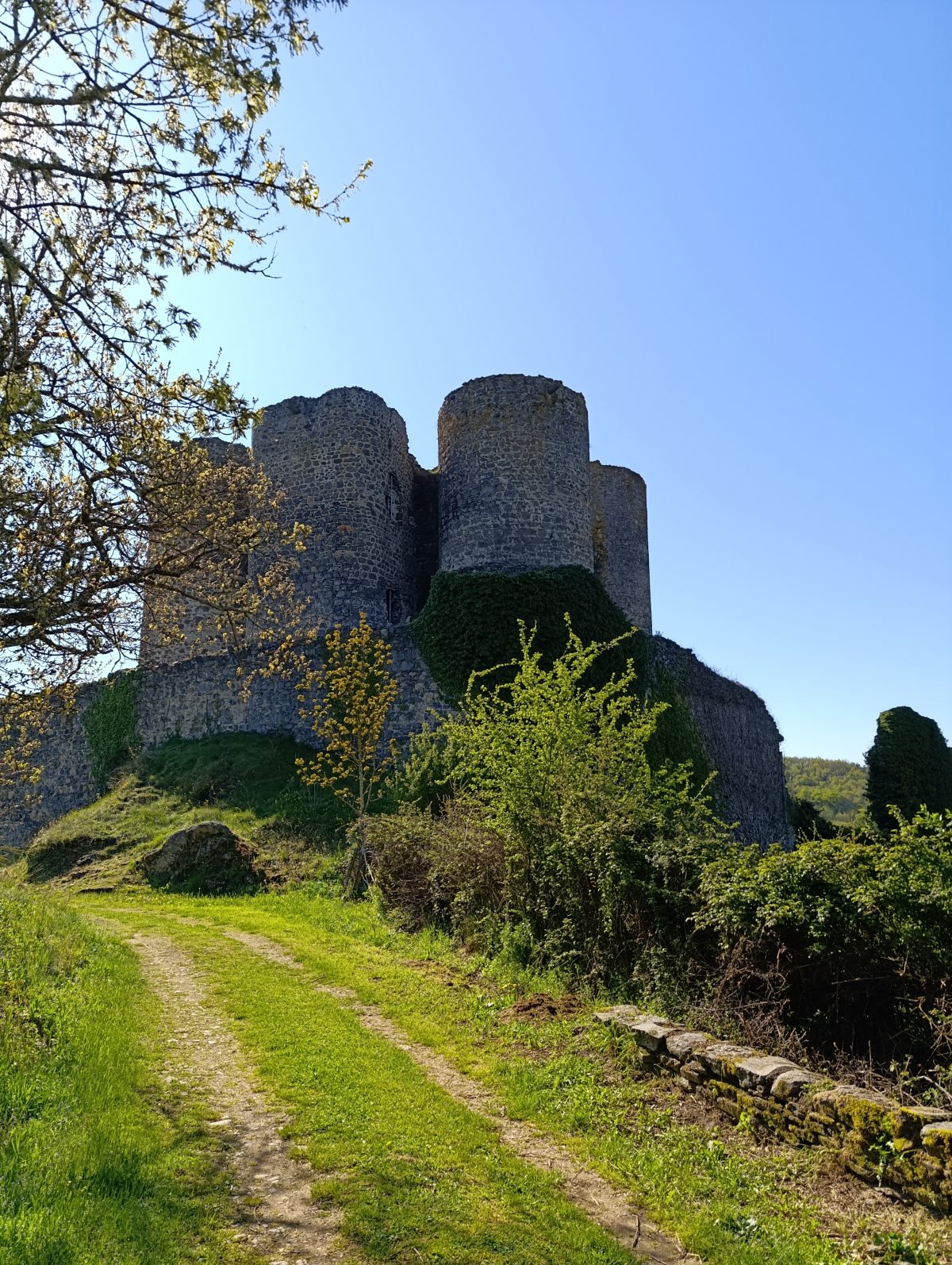 Domeyrat. Château. Extérieur vue sur le Nord du donjon et de son enceinte rapprochée. (photo Grahlf/F. Robert).